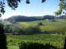 Campsite France Dordogne : Visite des viticulteurs et des caves du vignoble de Bergerac 