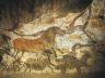 Camping Frankrijk Dordogne : Découverte des fresques préhistoriques des grottes de Lascaux